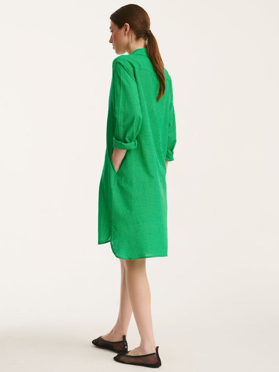 men_dress_green_checks_3