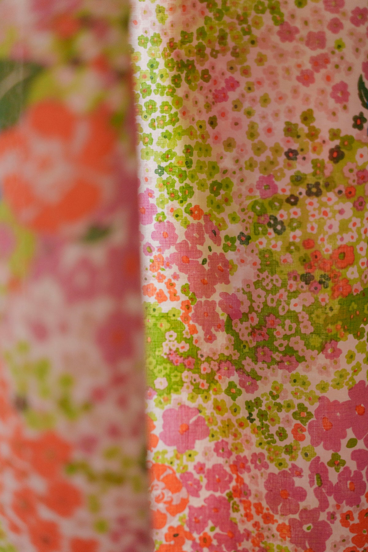 rideau_daisy_garden_2