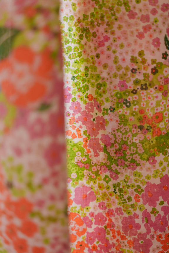 rideau_daisy_garden_2