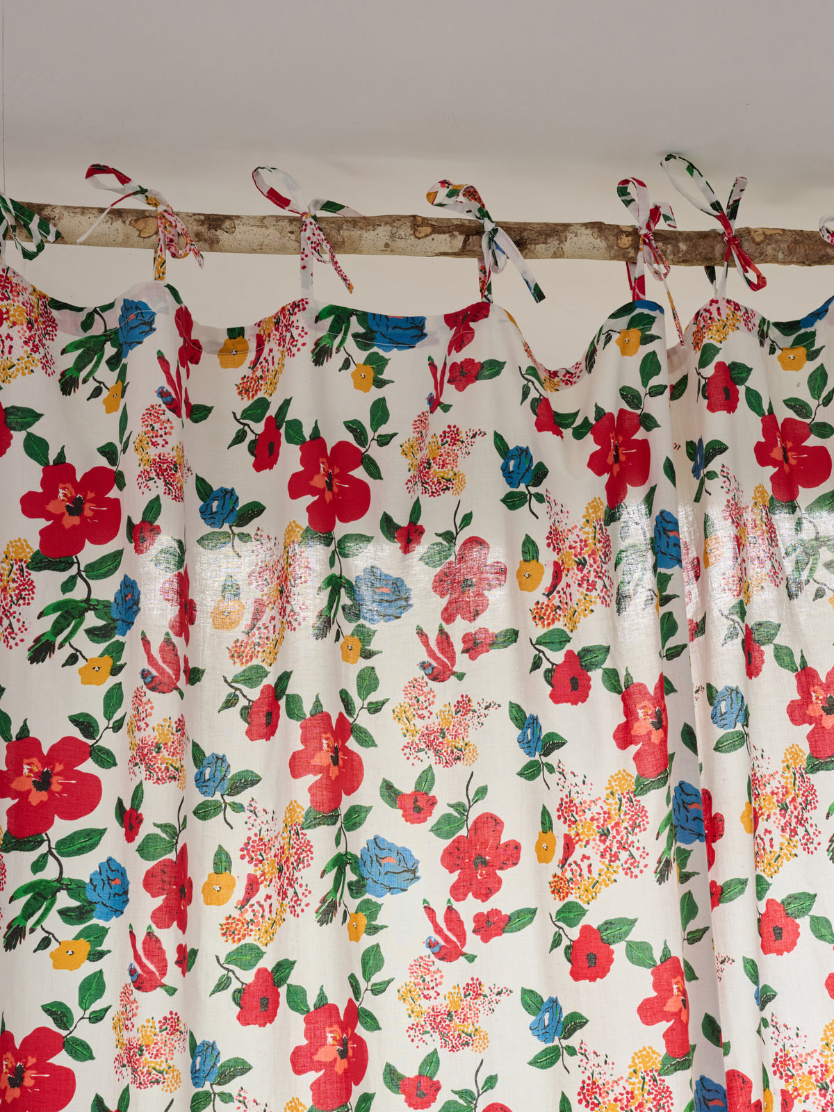 rideau_hibiscus_7