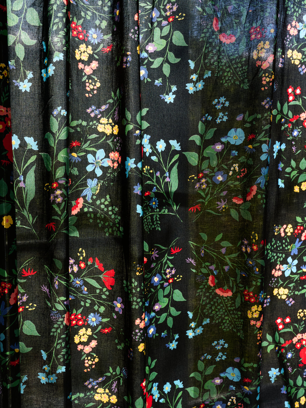 Curtain