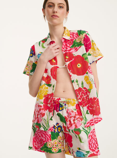 short_pyjama_dahlia_flower
