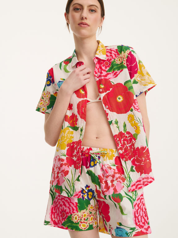 short_pyjama_dahlia_flower