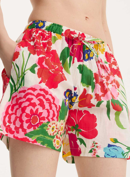 short_pyjama_dahlia_flower_2