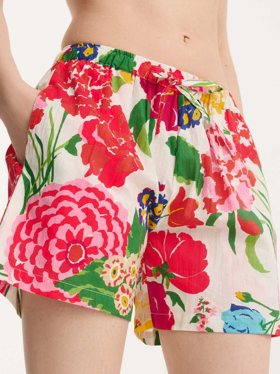 short_pyjama_dahlia_flower_2