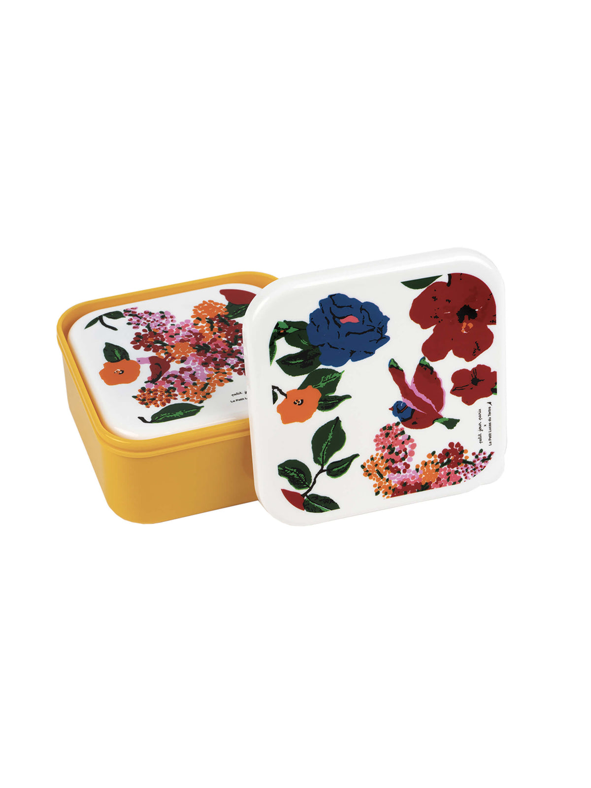 Set de 3 lunch box