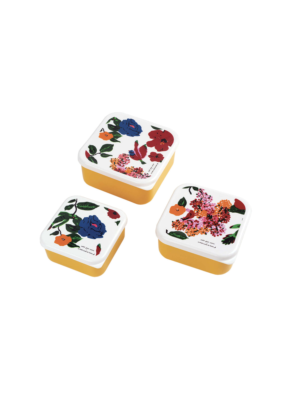 Set de 3 lunch box